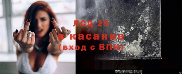 ГАЛЛЮЦИНОГЕННЫЕ ГРИБЫ Новодвинск