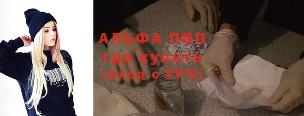 ешки Новозыбков