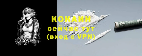 ГАЛЛЮЦИНОГЕННЫЕ ГРИБЫ Новодвинск