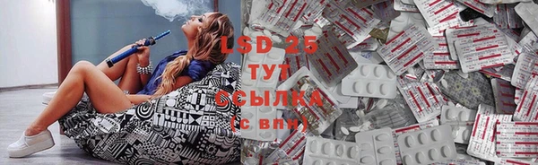ГАЛЛЮЦИНОГЕННЫЕ ГРИБЫ Новодвинск