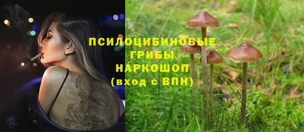 кокс Новокубанск