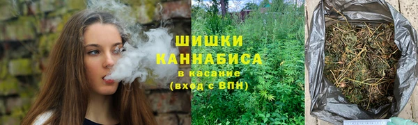 ГАЛЛЮЦИНОГЕННЫЕ ГРИБЫ Новодвинск