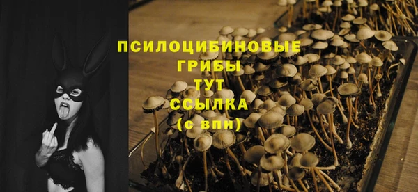 кокс Новокубанск
