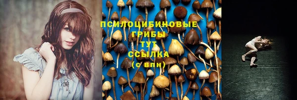 кокс Новокубанск