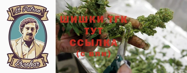 ГАЛЛЮЦИНОГЕННЫЕ ГРИБЫ Новодвинск
