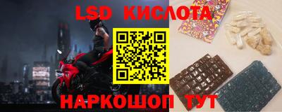 прущие грибы Беслан