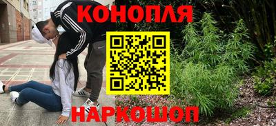 прущие грибы Беслан