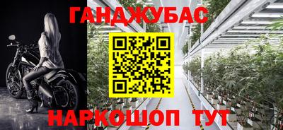 прущие грибы Беслан