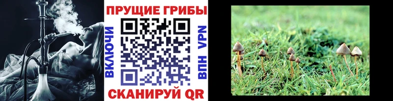 hydra ТОР  shop какой сайт  Галлюциногенные грибы Magic Shrooms  Кизляр 
