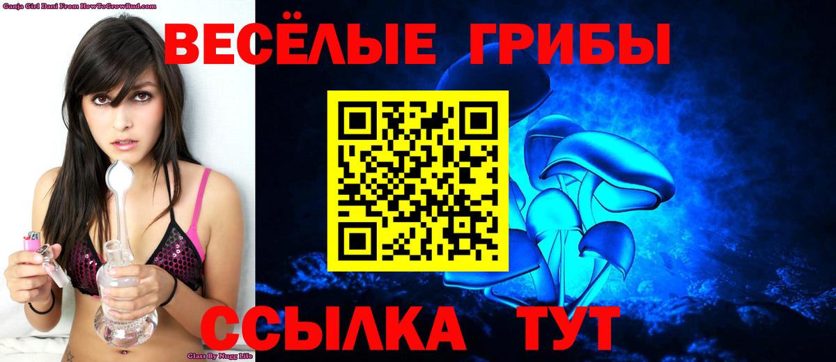 дарнет шоп  Галлюциногенные грибы мицелий  Вход с VPN  Кизляр 